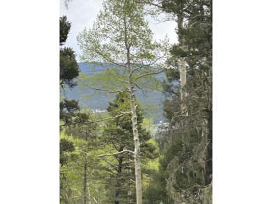 With soaring views, this parcel has all fauna of the forest on on Angel Fire Resort Country Club in New Mexico - for sale on GolfHomes.com, golf home, golf lot