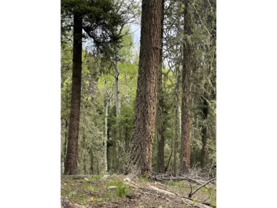 With soaring views, this parcel has all fauna of the forest on on Angel Fire Resort Country Club in New Mexico - for sale on GolfHomes.com, golf home, golf lot