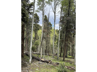 With soaring views, this parcel has all fauna of the forest on on Angel Fire Resort Country Club in New Mexico - for sale on GolfHomes.com, golf home, golf lot