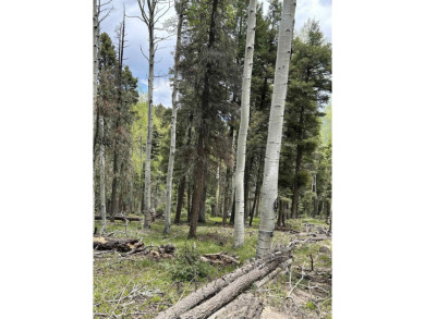 With soaring views, this parcel has all fauna of the forest on on Angel Fire Resort Country Club in New Mexico - for sale on GolfHomes.com, golf home, golf lot