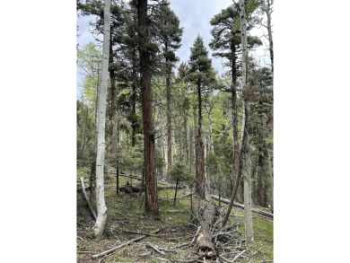 With soaring views, this parcel has all fauna of the forest on on Angel Fire Resort Country Club in New Mexico - for sale on GolfHomes.com, golf home, golf lot