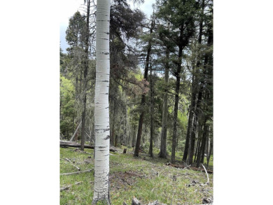 With soaring views, this parcel has all fauna of the forest on on Angel Fire Resort Country Club in New Mexico - for sale on GolfHomes.com, golf home, golf lot