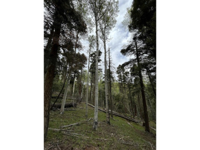 With soaring views, this parcel has all fauna of the forest on on Angel Fire Resort Country Club in New Mexico - for sale on GolfHomes.com, golf home, golf lot