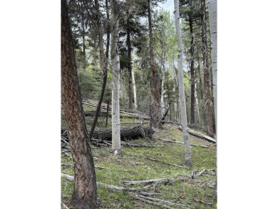 With soaring views, this parcel has all fauna of the forest on on Angel Fire Resort Country Club in New Mexico - for sale on GolfHomes.com, golf home, golf lot