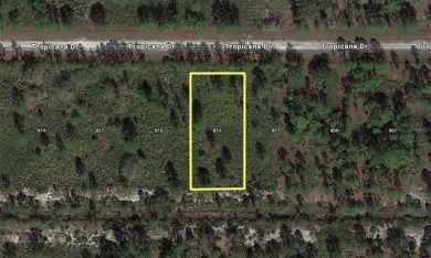 Come build your forever home on this one-half acre lot located on Indian Lake Estates Golf and Country Club in Florida - for sale on GolfHomes.com, golf home, golf lot