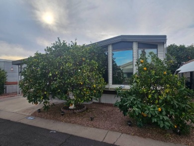 Open Floor Plan 1BD 1.5 Bath W/Huge Covered Carport & 2 Fruit on Viewpoint Golf Resort in Arizona - for sale on GolfHomes.com, golf home, golf lot