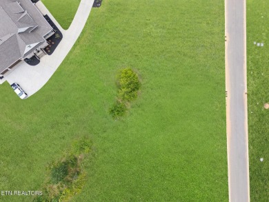 This half acre lot offers views of TN Nationals 13th and 14th on Tennessee National Golf Club in Tennessee - for sale on GolfHomes.com, golf home, golf lot