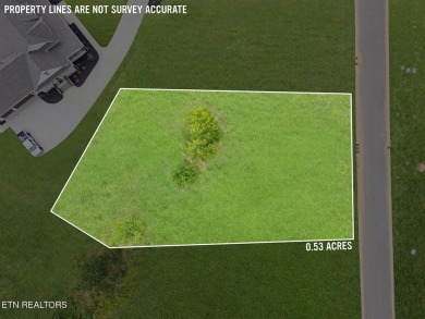 This half acre lot offers views of TN Nationals 13th and 14th on Tennessee National Golf Club in Tennessee - for sale on GolfHomes.com, golf home, golf lot
