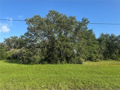 Build your dream home in one of the area's most desirable on Sunnybreeze Golf Course in Florida - for sale on GolfHomes.com, golf home, golf lot