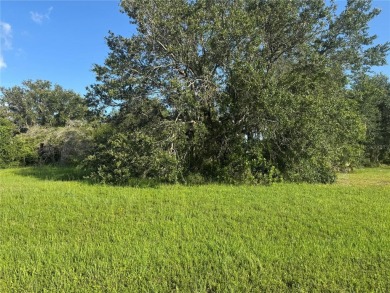 Build your dream home in one of the area's most desirable on Sunnybreeze Golf Course in Florida - for sale on GolfHomes.com, golf home, golf lot