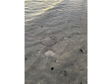 Welcome to your slice of paradise in Fort Myers, Florida! This on Fort Myers Beach and Golf Club in Florida - for sale on GolfHomes.com, golf home, golf lot