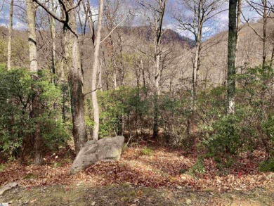 Nestled in the mountains just minutes from Greenville, SC, make on The Cliffs Valley Golf Course in South Carolina - for sale on GolfHomes.com, golf home, golf lot
