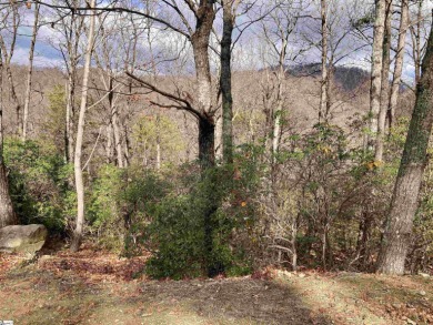 Nestled in the mountains just minutes from Greenville, SC, make on The Cliffs Valley Golf Course in South Carolina - for sale on GolfHomes.com, golf home, golf lot