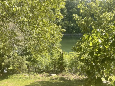 Great opportunity to take an original unit and make it a blank on Woodson Bend Resort in Kentucky - for sale on GolfHomes.com, golf home, golf lot
