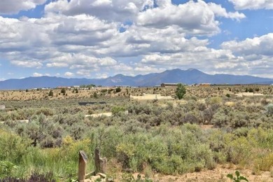 A BREATH OF FRESH AIR.   Tired of *ho-hum* cookie cutter houses? on Taos Country Club in New Mexico - for sale on GolfHomes.com, golf home, golf lot