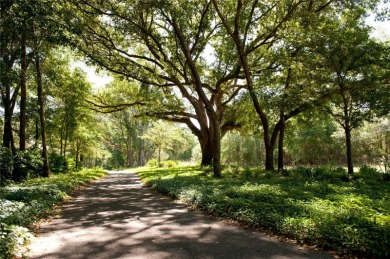 The possibilities are endless! Design and build your Dream Home on West End Golf Course in Florida - for sale on GolfHomes.com, golf home, golf lot