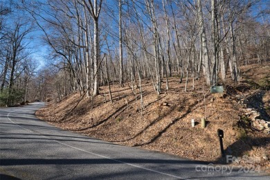 Welcome to the beautiful and welcoming community of High Vista on High Vista Country Club in North Carolina - for sale on GolfHomes.com, golf home, golf lot