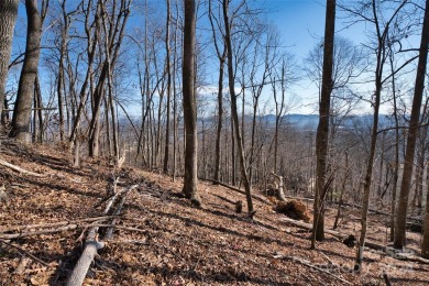 Welcome to the beautiful and welcoming community of High Vista on High Vista Country Club in North Carolina - for sale on GolfHomes.com, golf home, golf lot