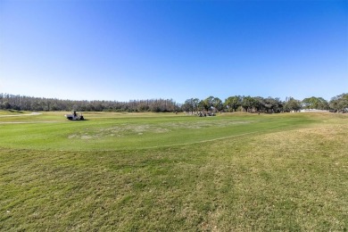 Charming 3-Bedroom Home with Private Pool in Exclusive Cheval on TPC of Tampa Bay in Florida - for sale on GolfHomes.com, golf home, golf lot