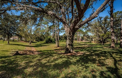 One or more photo(s) has been virtually staged. Welcome to this on Innisbrook Resort and Golf Club in Florida - for sale on GolfHomes.com, golf home, golf lot