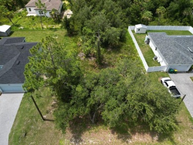 Discover the perfect setting for your future home at 18367 on Bobcat Trail Golf Club in Florida - for sale on GolfHomes.com, golf home, golf lot