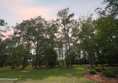 This is the one! This beautiful homesite is located on a on Ocean Ridge Plantation in North Carolina - for sale on GolfHomes.com, golf home, golf lot