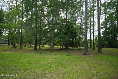 This is the one! This beautiful homesite is located on a on Ocean Ridge Plantation in North Carolina - for sale on GolfHomes.com, golf home, golf lot