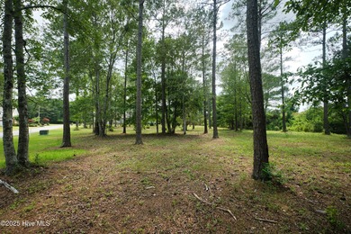 This is the one! This beautiful homesite is located on a on Ocean Ridge Plantation in North Carolina - for sale on GolfHomes.com, golf home, golf lot