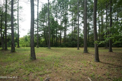 This is the one!  This beautiful homesite is located on a on Ocean Ridge Plantation in North Carolina - for sale on GolfHomes.com, golf home, golf lot