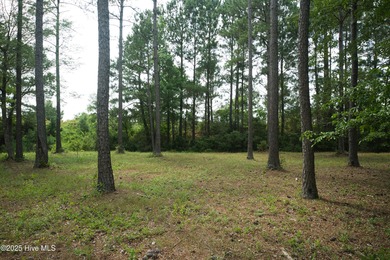 This is the one! This beautiful homesite is located on a on Ocean Ridge Plantation in North Carolina - for sale on GolfHomes.com, golf home, golf lot