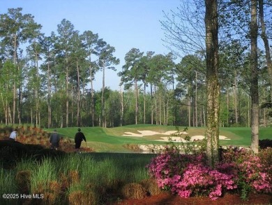 This is the one!  This beautiful homesite is located on a on Ocean Ridge Plantation in North Carolina - for sale on GolfHomes.com, golf home, golf lot