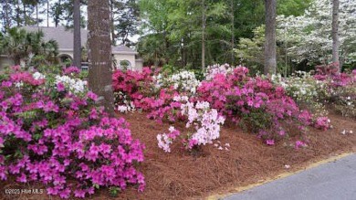 This is the one!  This beautiful homesite is located on a on Ocean Ridge Plantation in North Carolina - for sale on GolfHomes.com, golf home, golf lot