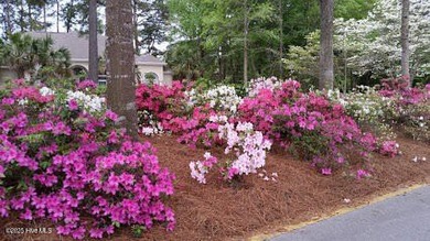 This is the one! This beautiful homesite is located on a on Ocean Ridge Plantation in North Carolina - for sale on GolfHomes.com, golf home, golf lot