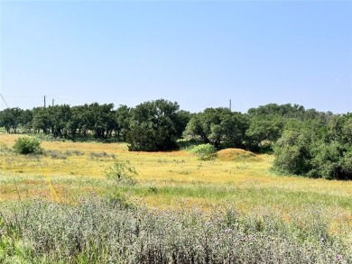 Fantastic lots in a cul-de-sac, with great views over the on Hideout Golf Club and Resort  in Texas - for sale on GolfHomes.com, golf home, golf lot