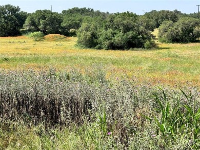 Fantastic lots in a cul-de-sac, with great views over the on Hideout Golf Club and Resort  in Texas - for sale on GolfHomes.com, golf home, golf lot