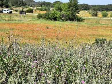 Fantastic lots in a cul-de-sac, with great views over the on Hideout Golf Club and Resort  in Texas - for sale on GolfHomes.com, golf home, golf lot