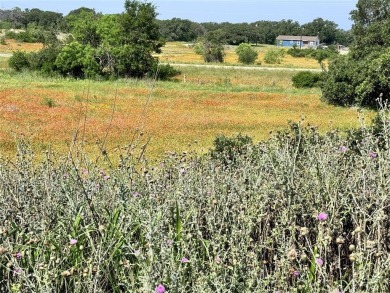 Fantastic lots in a cul-de-sac, with great views over the on Hideout Golf Club and Resort  in Texas - for sale on GolfHomes.com, golf home, golf lot