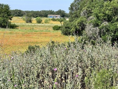 Fantastic lots in a cul-de-sac, with great views over the on Hideout Golf Club and Resort  in Texas - for sale on GolfHomes.com, golf home, golf lot