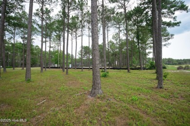 Awesome building lot with golf and pond views from your on Ocean Ridge Plantation in North Carolina - for sale on GolfHomes.com, golf home, golf lot