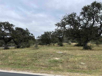 Discover the perfect canvas for your dream home with these two on Horseshoe Bay Private Golf Course in Texas - for sale on GolfHomes.com, golf home, golf lot