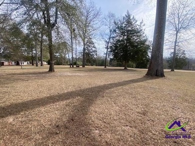 1532 sq. ft. home located in a friendly 55+ active adult on Houston Springs Resort and Golf Course in Georgia - for sale on GolfHomes.com, golf home, golf lot