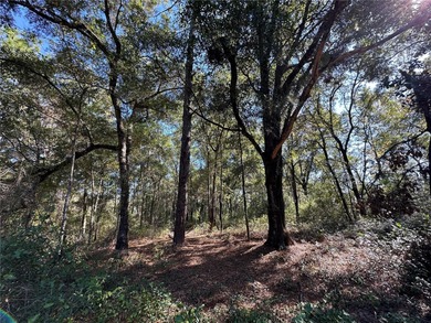 WILLISTON HIGHLANDS GOLF & COUNTRY CLUB OVERSIZE BUILDING LOT ON on Williston Highlands Golf and Country Club in Florida - for sale on GolfHomes.com, golf home, golf lot