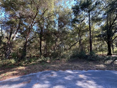 WILLISTON HIGHLANDS GOLF & COUNTRY CLUB OVERSIZE BUILDING LOT ON on Williston Highlands Golf and Country Club in Florida - for sale on GolfHomes.com, golf home, golf lot