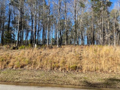 If you're looking for a homesite in a Golf/Equestrian community on Mount Vintage Plantation and Golf Club  in South Carolina - for sale on GolfHomes.com, golf home, golf lot