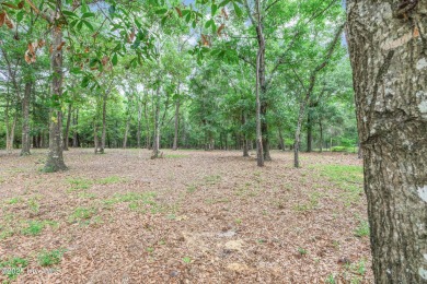 Discover your own piece of paradise in the gated, waterfront on Lockwood Folly Country Club in North Carolina - for sale on GolfHomes.com, golf home, golf lot