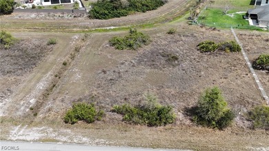 Build your dream home on this oversized, nearly cleared vacant on Mirror Lakes Golf Club in Florida - for sale on GolfHomes.com, golf home, golf lot