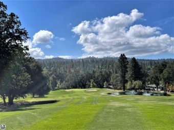 Sapphire skies, emerald fairways, and Sierra forests from decks on Pine Mountain Lake Country Club in California - for sale on GolfHomes.com, golf home, golf lot