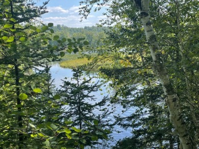 (454/DW) This well-wooded waterfront lot is situated on the on Barker Lake Country Club in Wisconsin - for sale on GolfHomes.com, golf home, golf lot