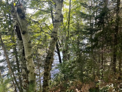 (454/DW) This well-wooded waterfront lot is situated on the on Barker Lake Country Club in Wisconsin - for sale on GolfHomes.com, golf home, golf lot