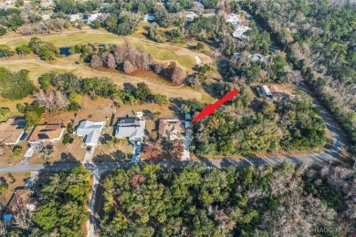 Stunning Renovated Home on the Plantation Golf Course! Welcome on Plantation Inn and Golf Resort  in Florida - for sale on GolfHomes.com, golf home, golf lot